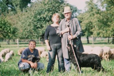 Fam (3)